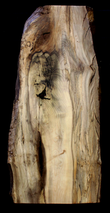Myrtle Wood Natural Edge Slab (MY6129)