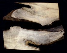 Myrtle Wood Natural Edge Slab (MY6179)