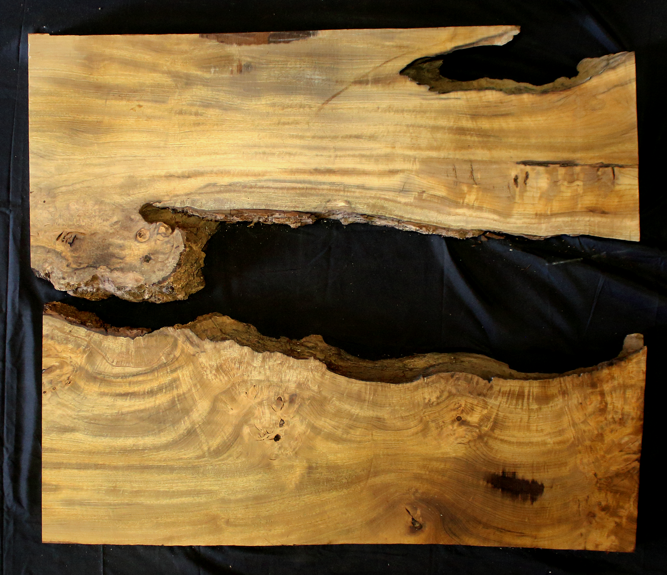 Large Wood Slabs