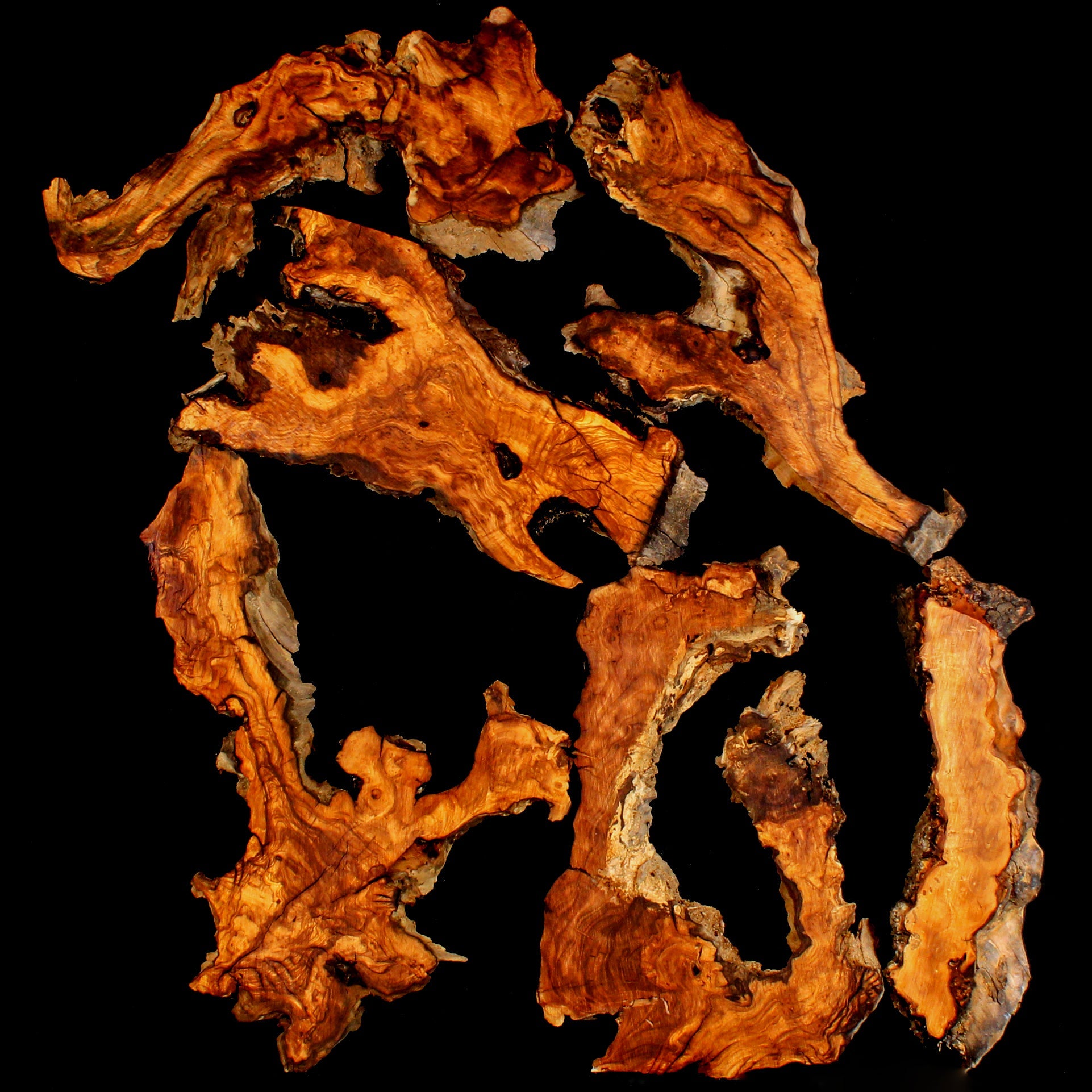 Featured Wood Slabs