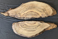 Myrtle Wood MY 6202