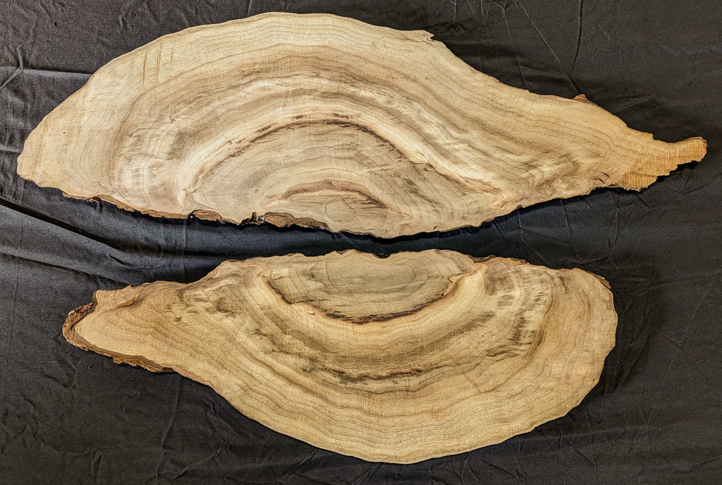 Myrtle Wood MY 6202