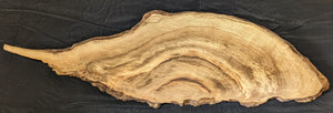 Myrtle Wood My6203