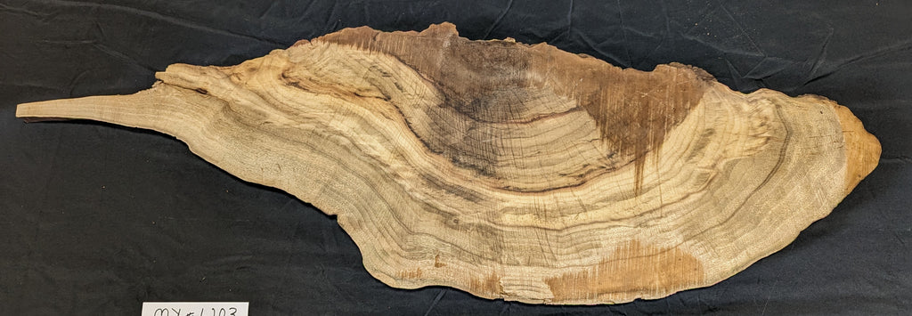 Myrtle Wood My6203