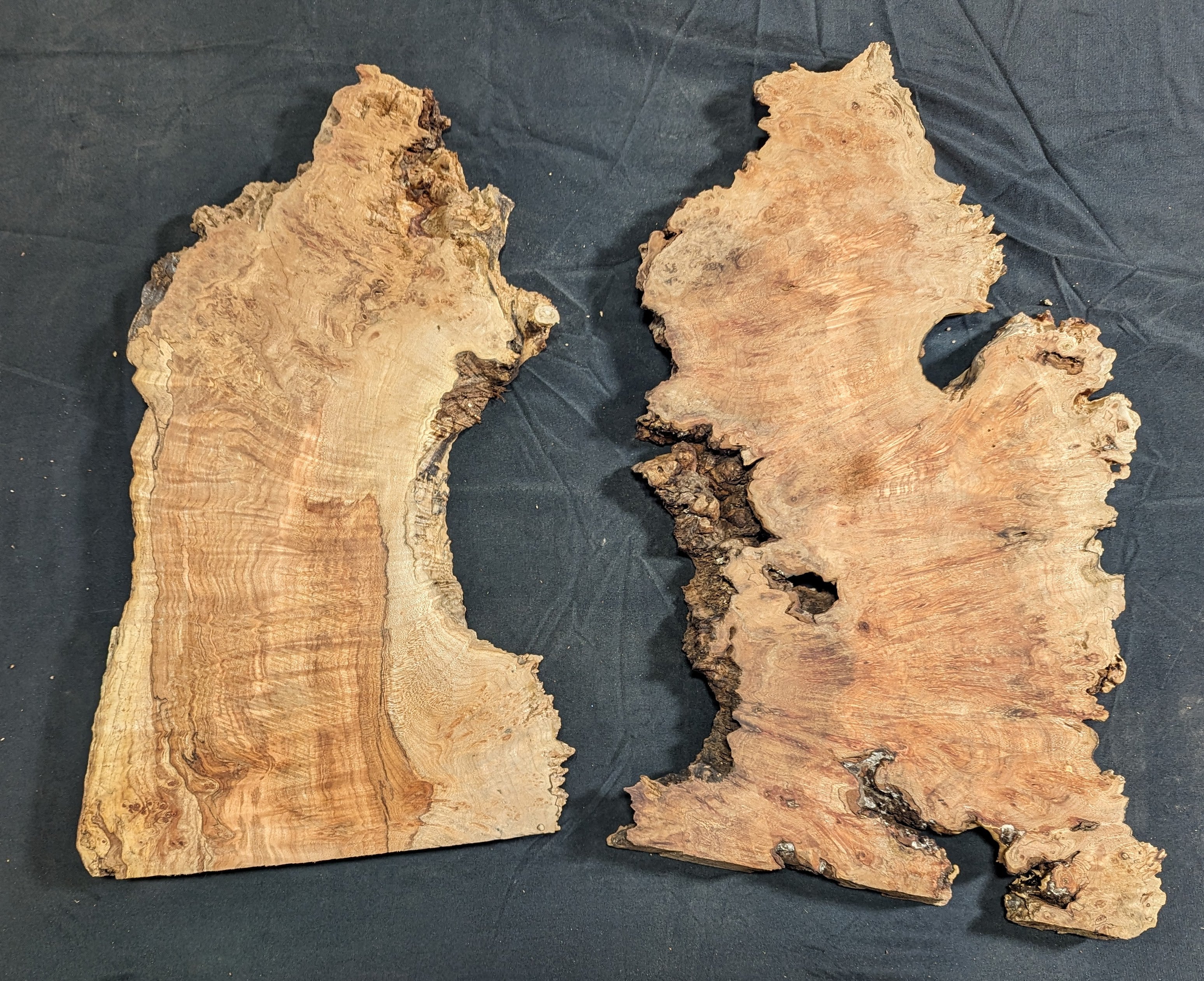 Maple Burl Slab (MA6113) – High West Wood Products