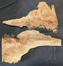 Maple Burl MA2152