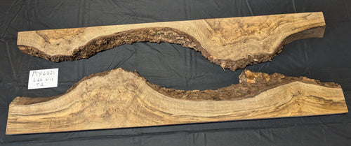 Myrtle Burl MY6221