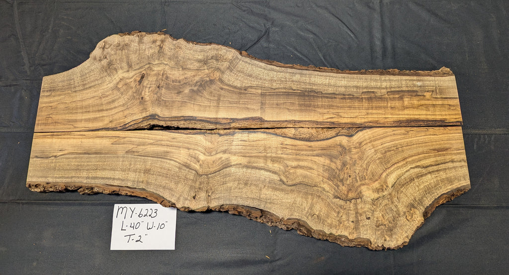 Myrtle Burl MY6223
