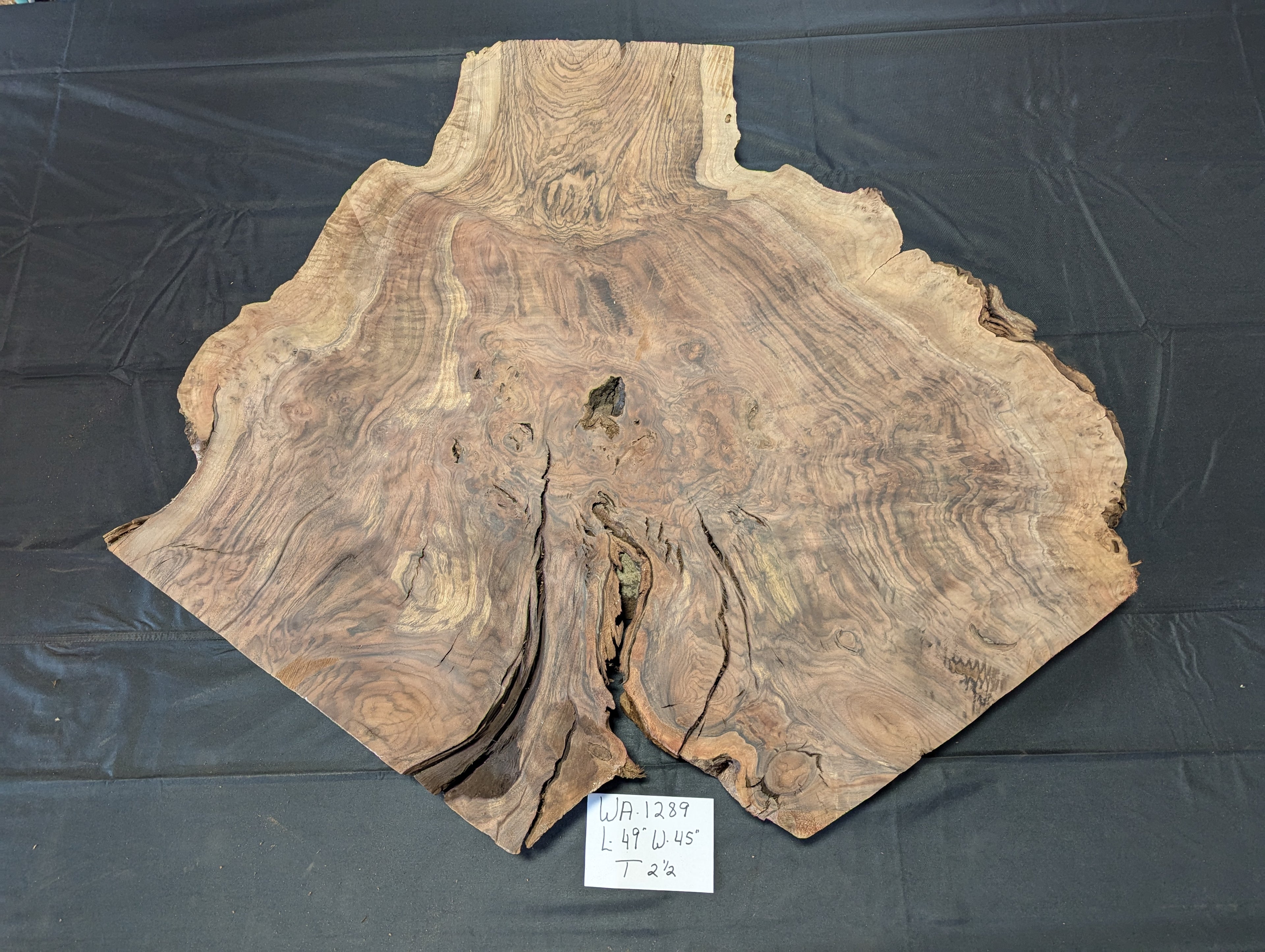 Claro Walnut Burl WA1289