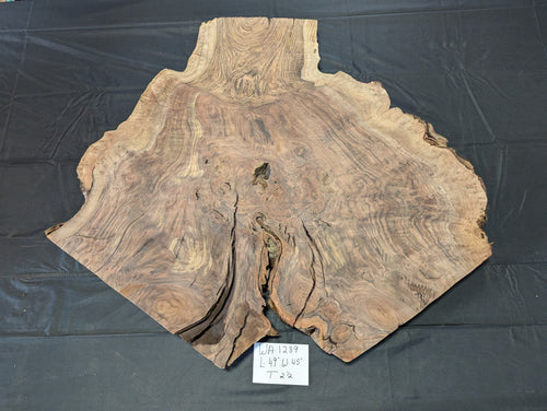 Claro Walnut Burl WA1289