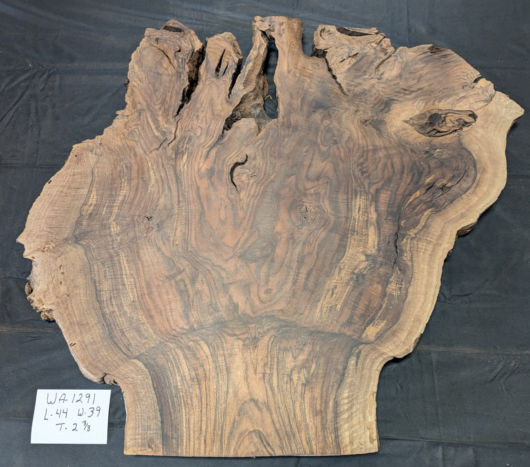 Claro Walnut Burl WA1291