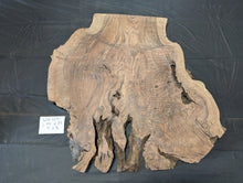 Claro Walnut Burl WA1291