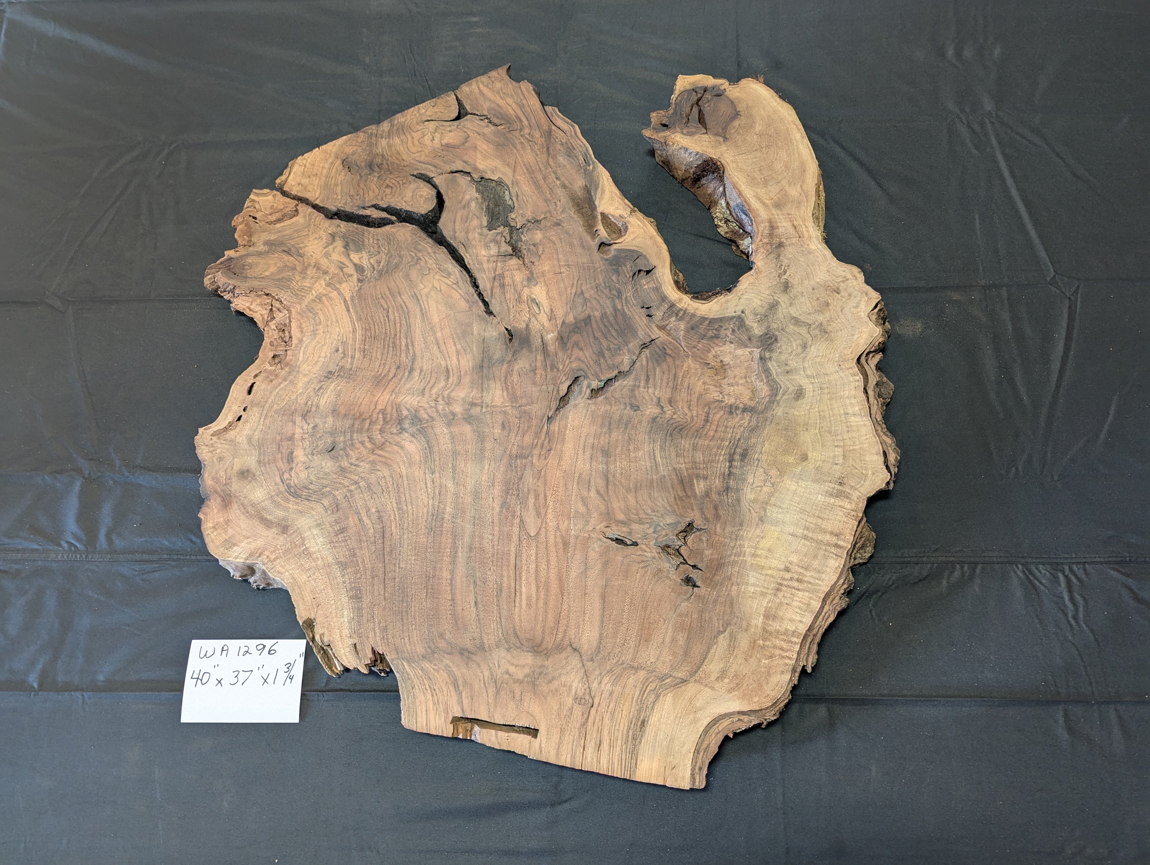 Claro Walnut Burl WA1296
