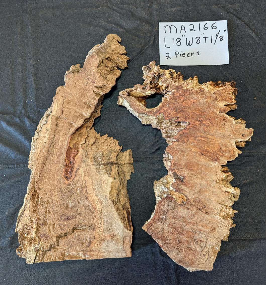 Maple Burl MA2166