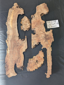 Maple Burl MA2130