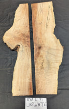 Maple Burl MA2171