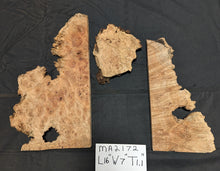 Maple Burl MA2172