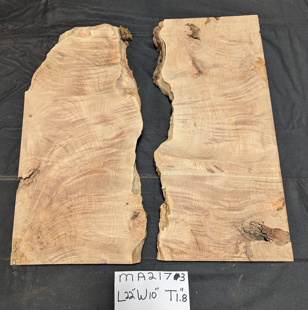 Figured Maple MA2173-2