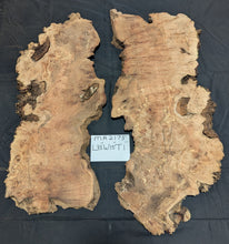 Maple Burl MA2175