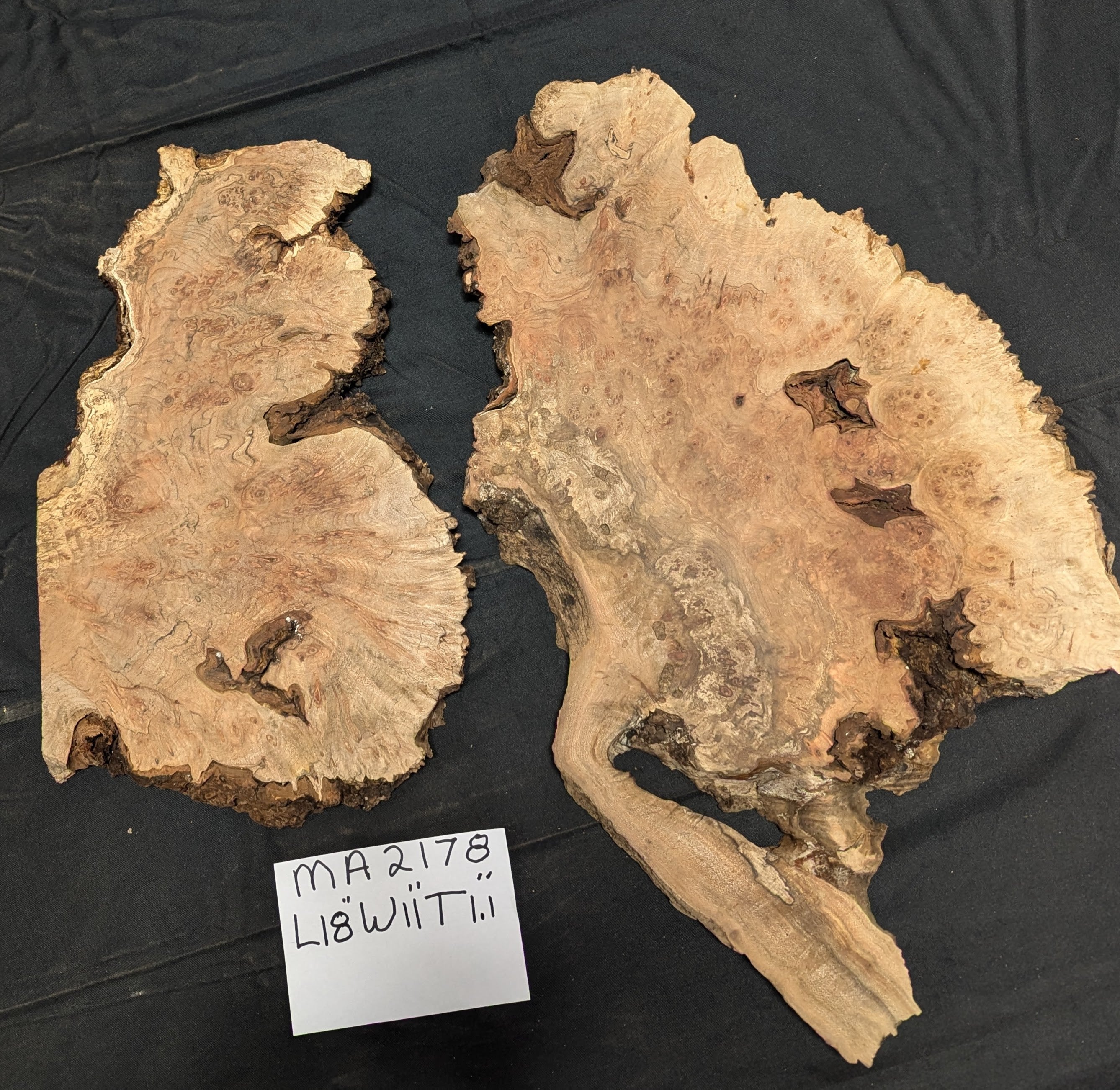 Maple Burl MA2178 – High West Wood Products
