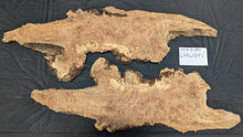 Maple Burl MA2180