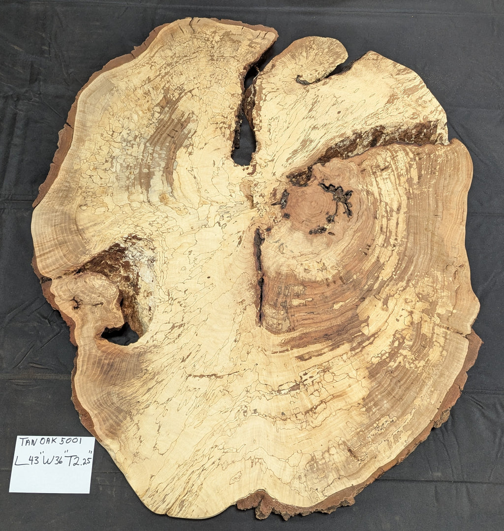 Tan Oak Buyan TO5001
