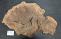 Claro Walnut Burl WA1299