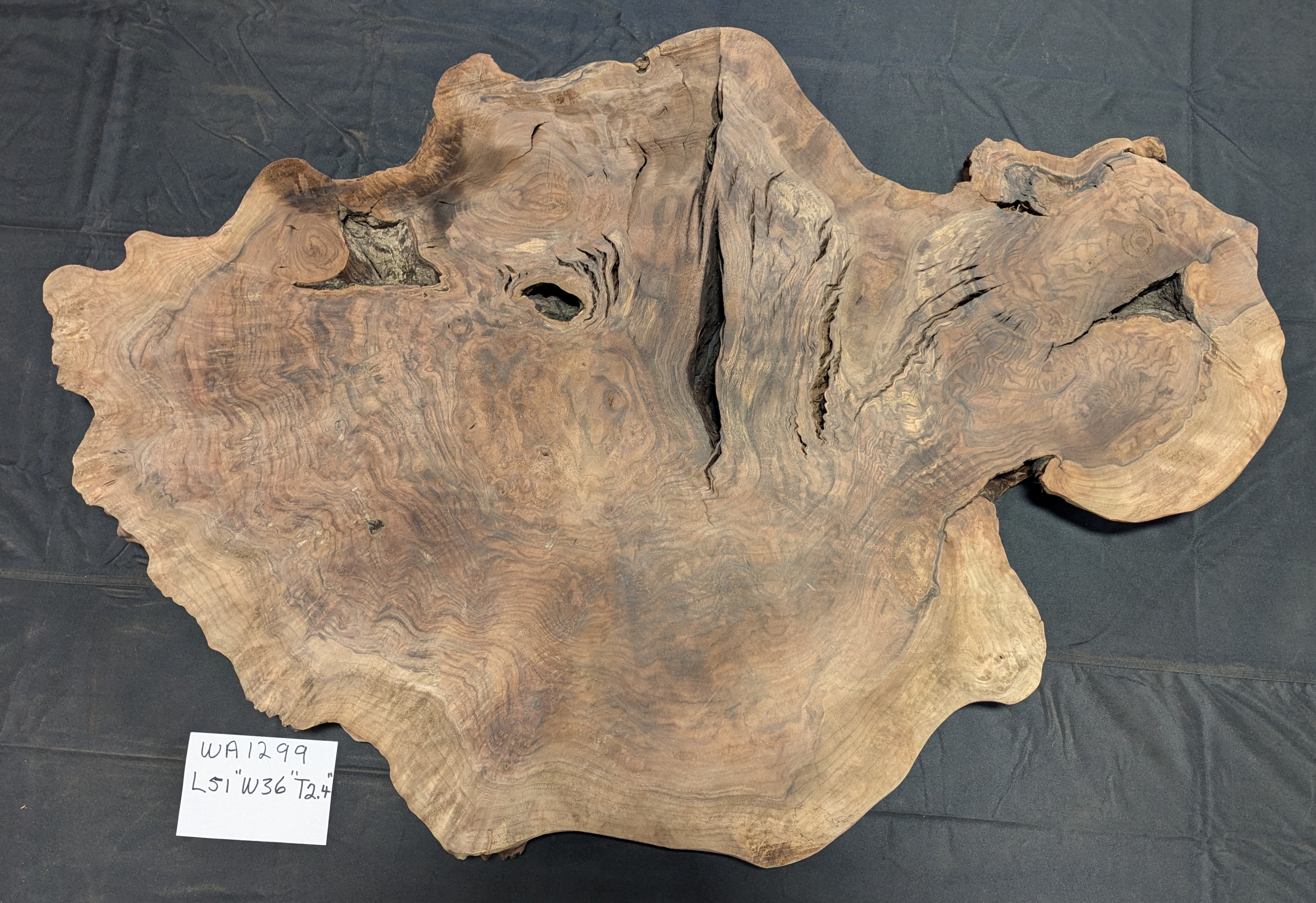 Claro Walnut Burl WA1299