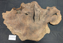 Claro Walnut Burl WA1299