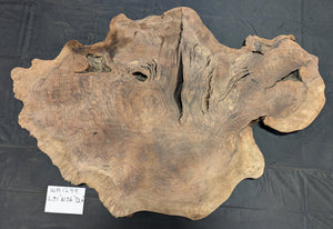 Claro Walnut Burl WA1299