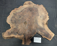 Claro Walnut Burl MA1298