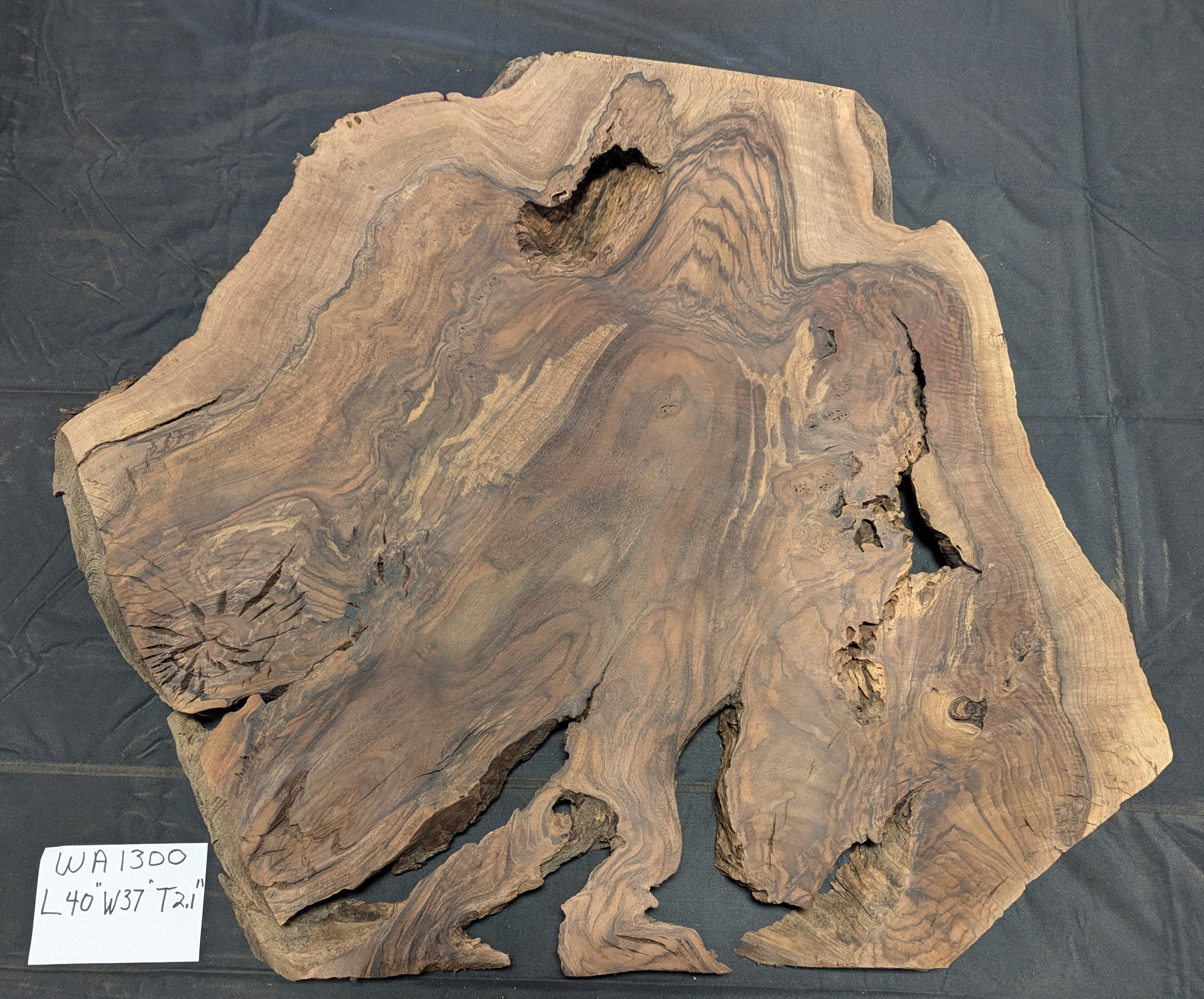 Claro Walnut Burl WA1300