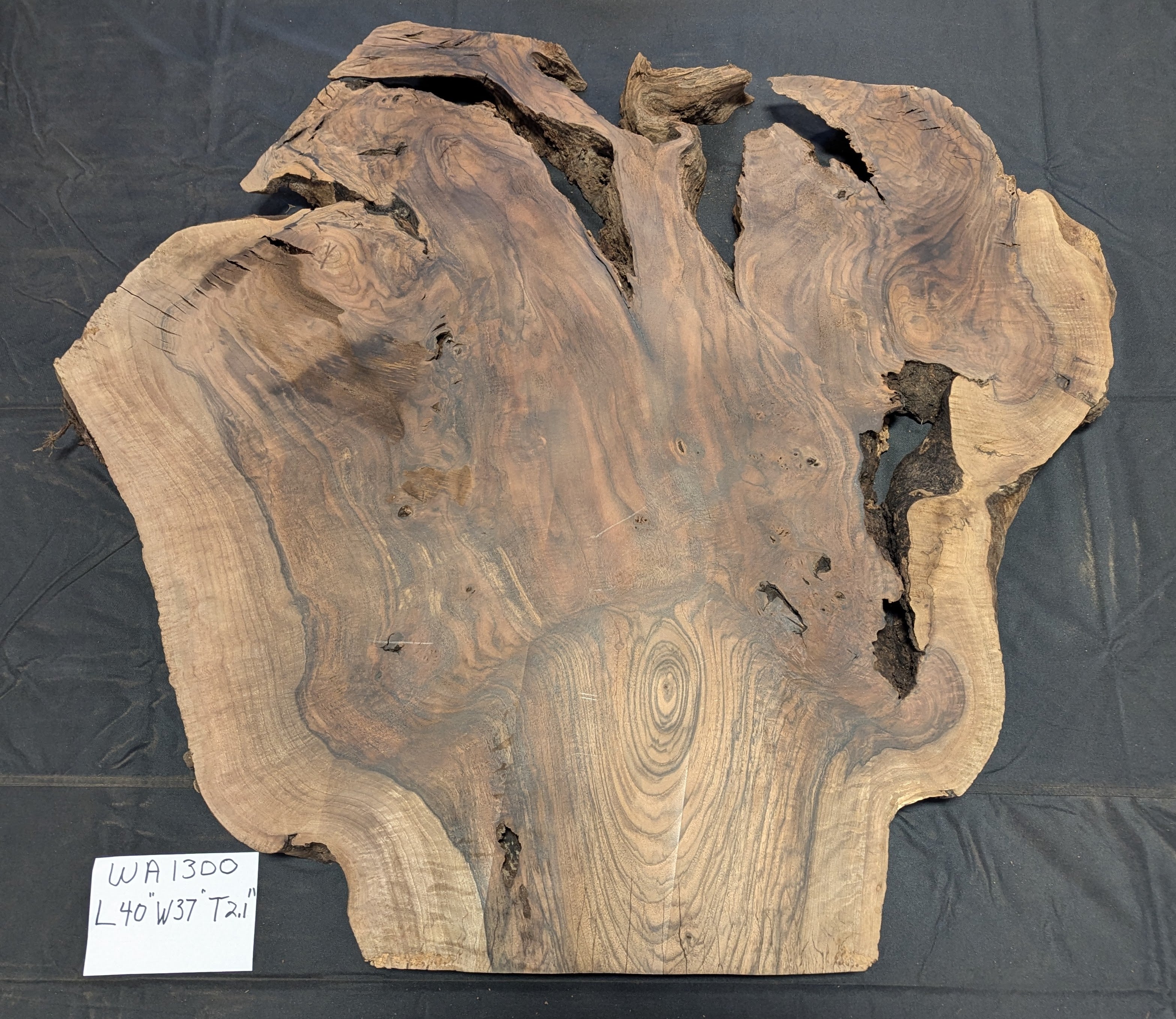 Claro Walnut Burl WA1300