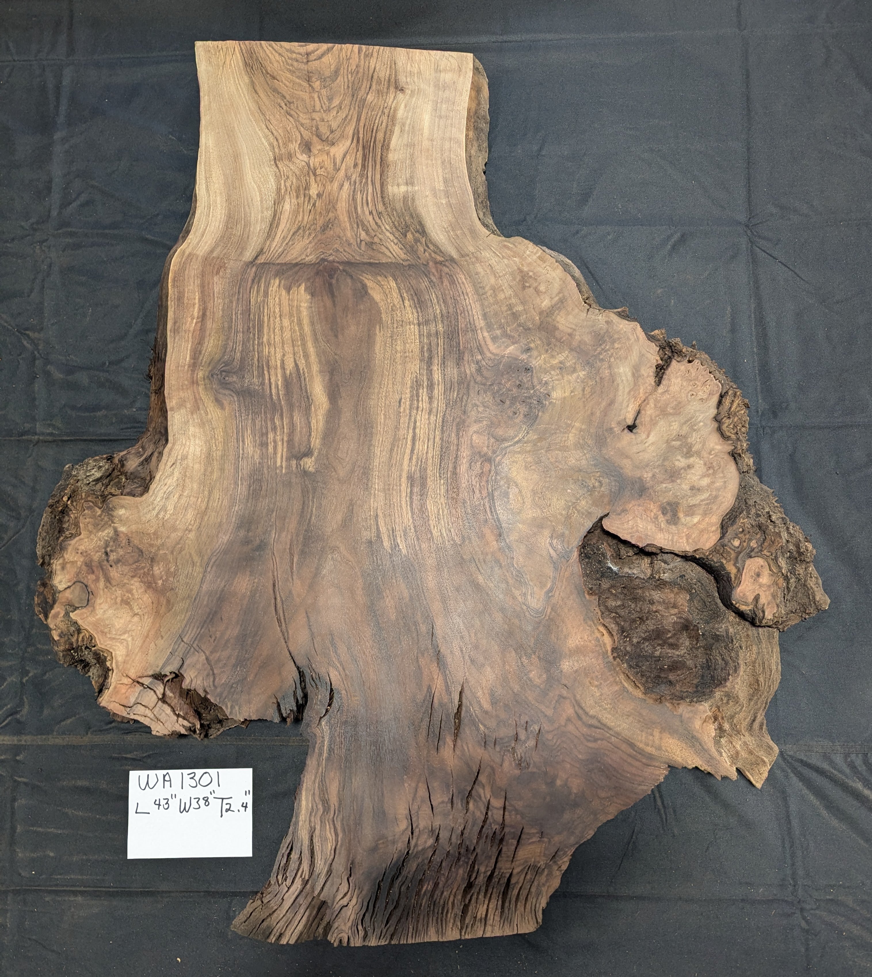 Claro Walnut Burl WA1301