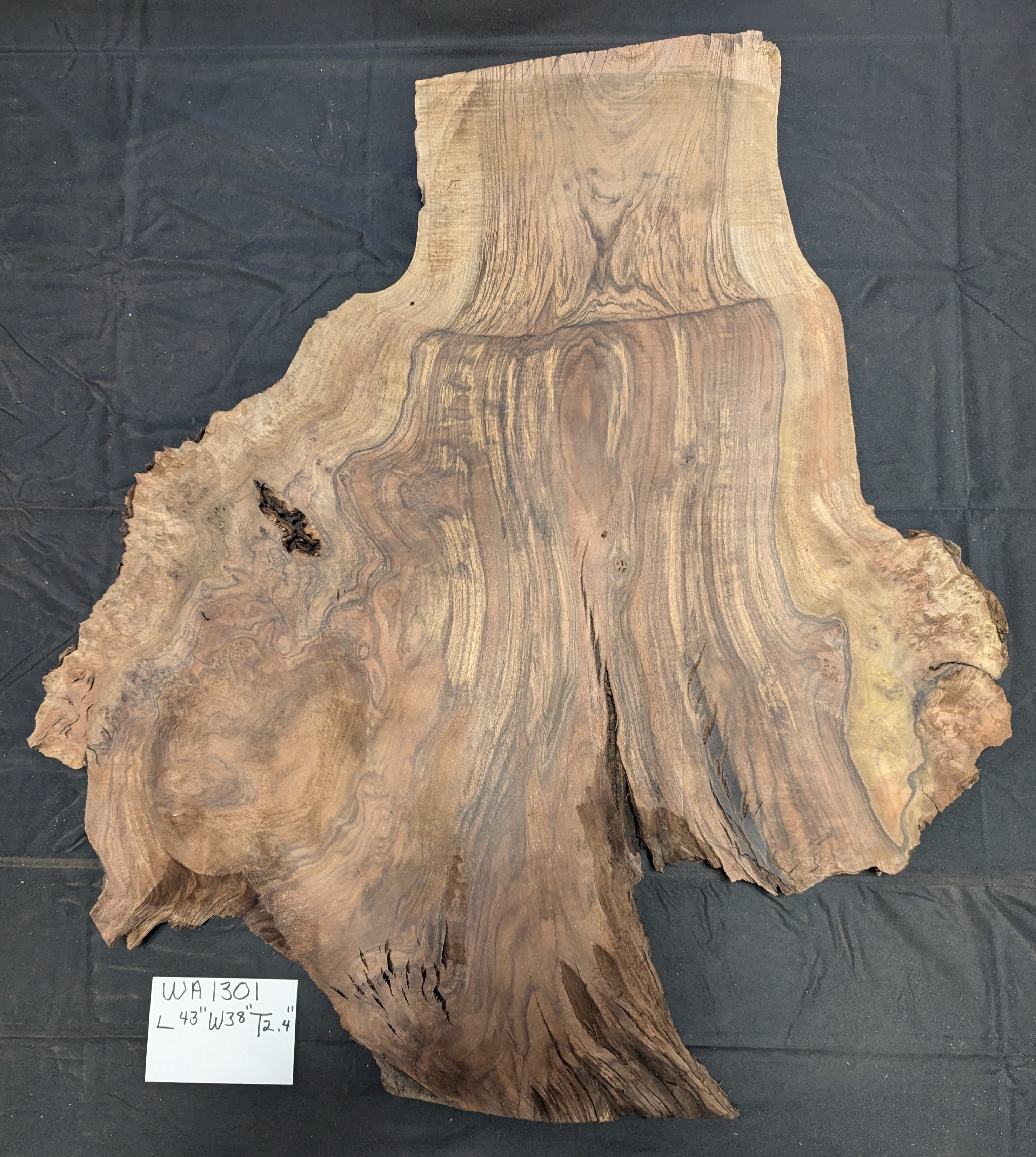 Claro Walnut Burl WA1301