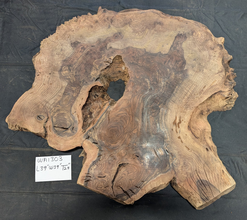 Claro Walnut Burl WA1303