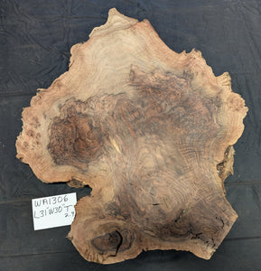 Claro Walnut Burl WA1306