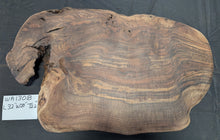 Claro Walnut Burl WA1308