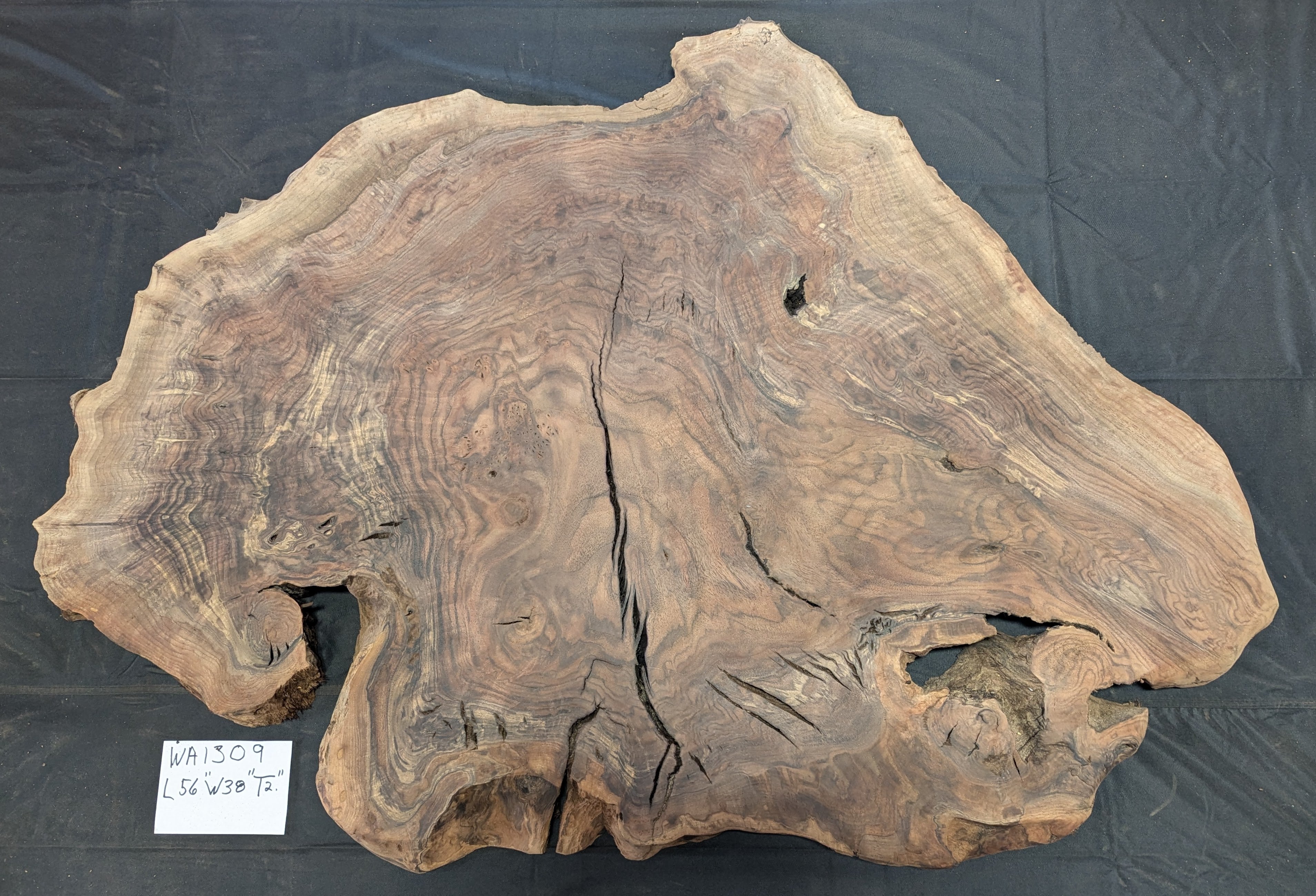 Claro Walnut Burl WA1309