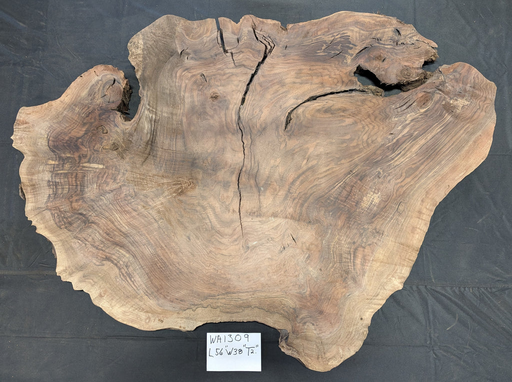 Claro Walnut Burl WA1309