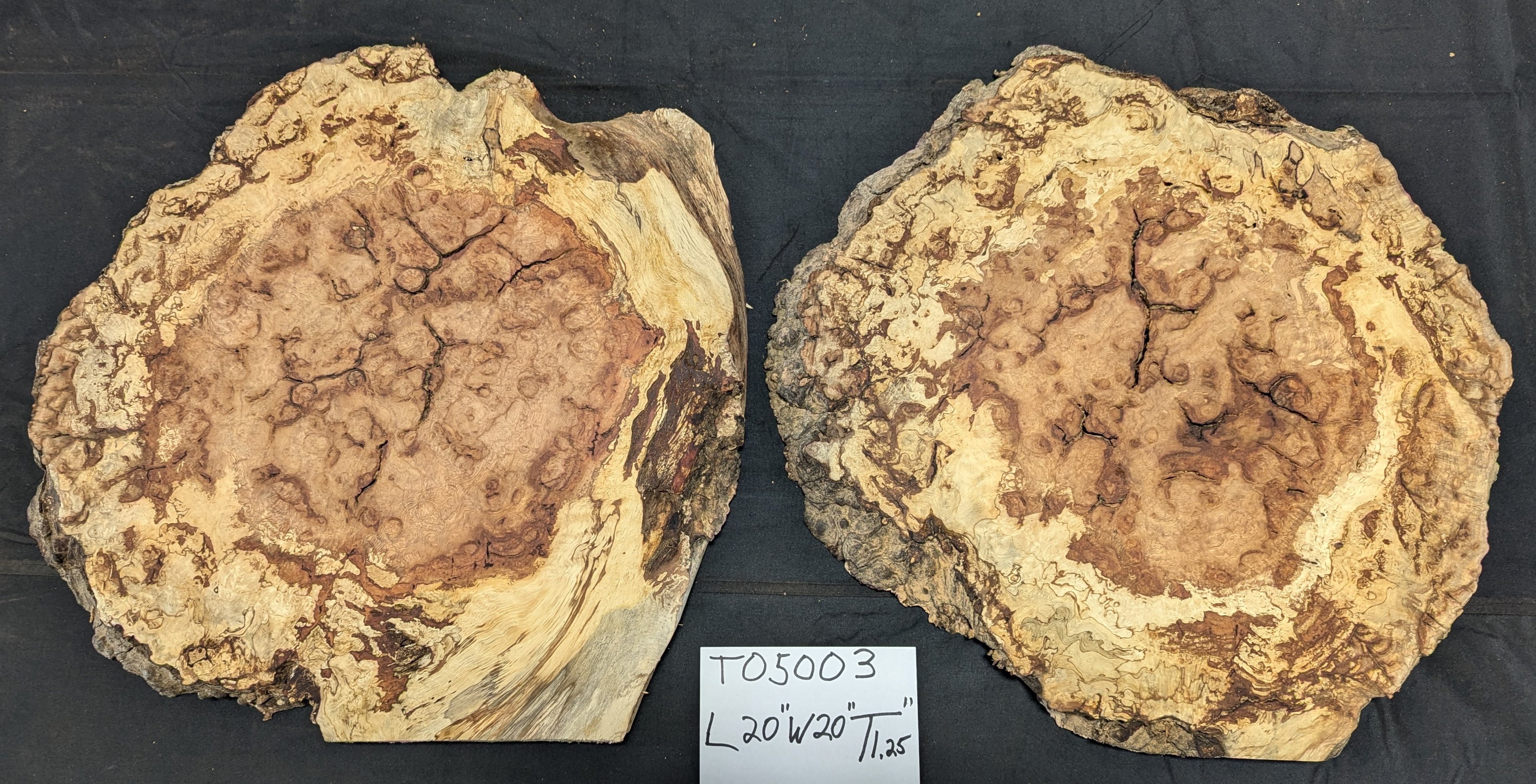 Tan Oak Buyan TO5003