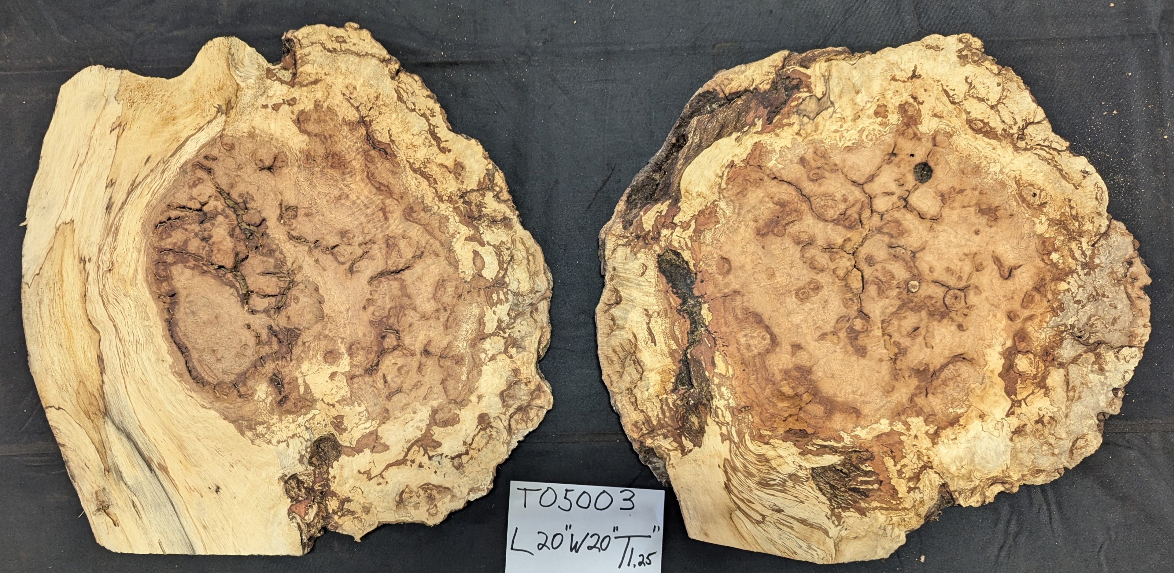 Tan Oak Buyan TO5003