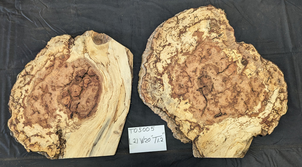 Tan Oak Buyan TO5005