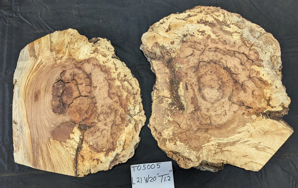 Tan Oak Buyan TO5005