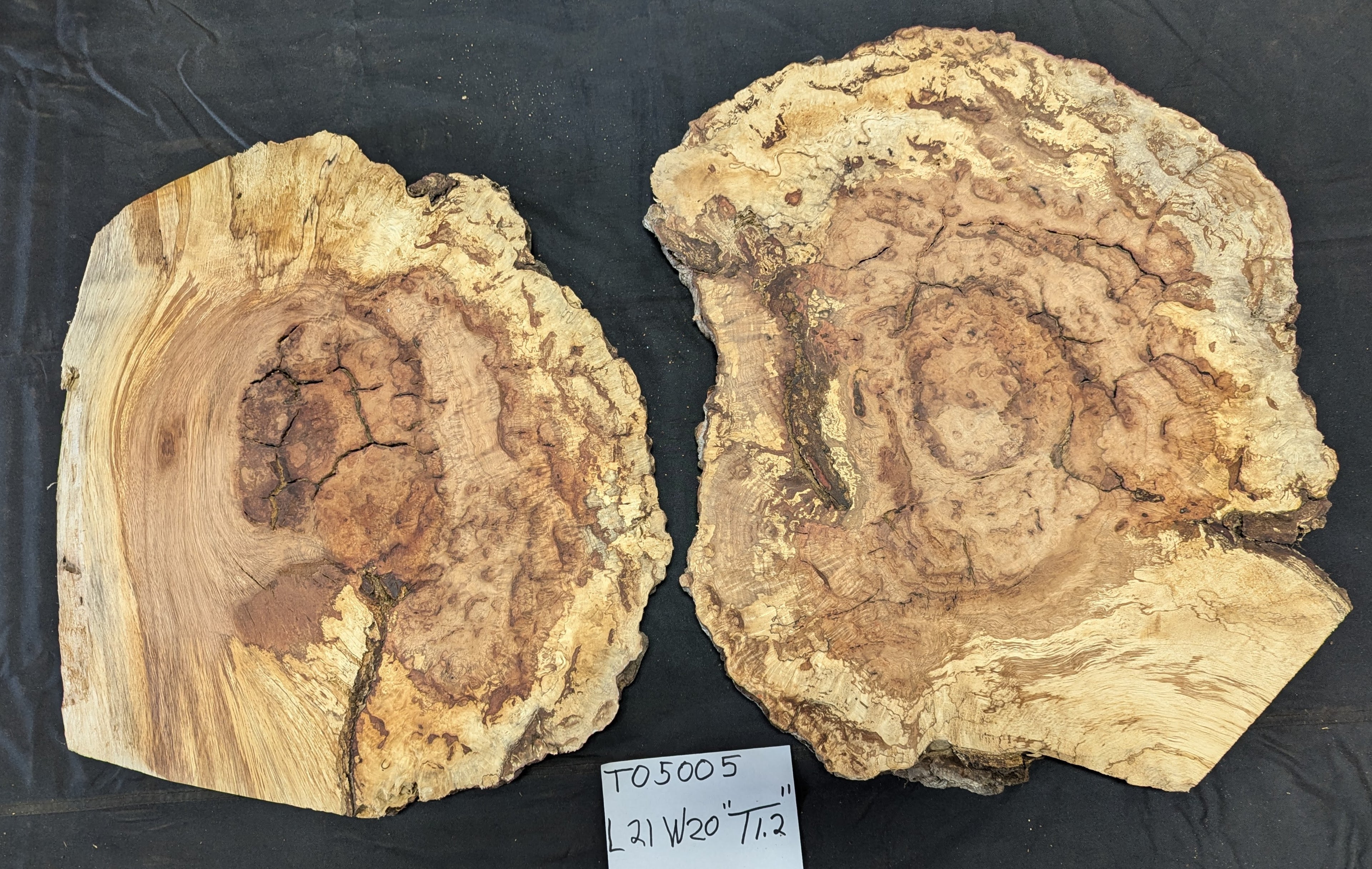 Tan Oak Buyan TO5005
