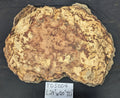 Tan Oak Buyan TO5004