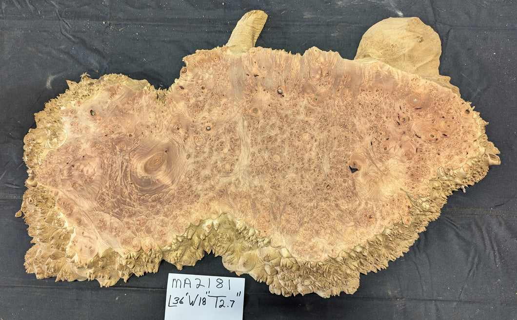 Maple Burl Ma2181