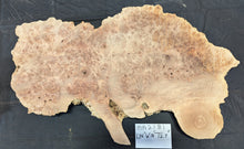 Maple Burl Ma2181