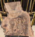 Claro Walnut WA1310