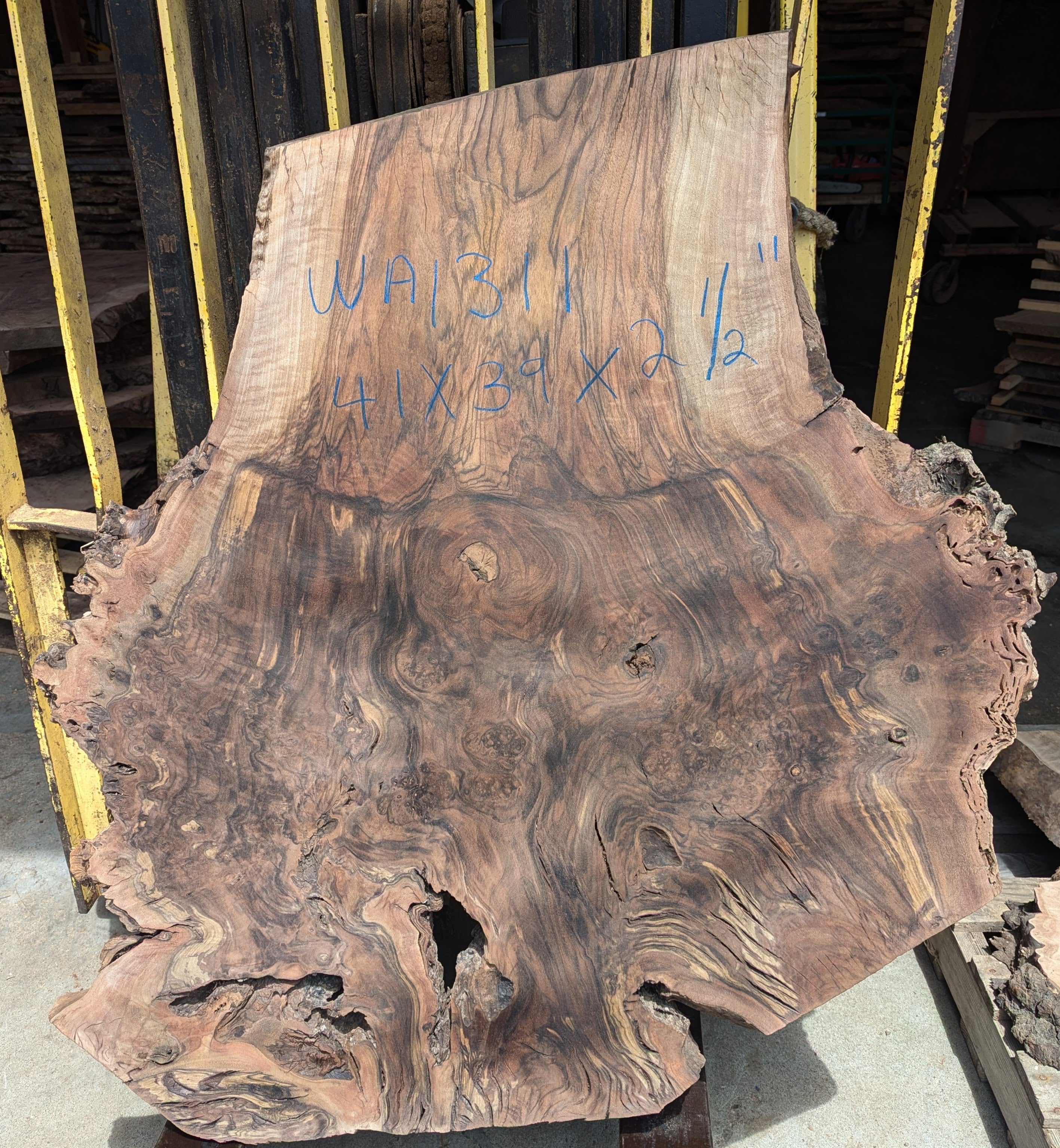 Claro Walnut WA1311